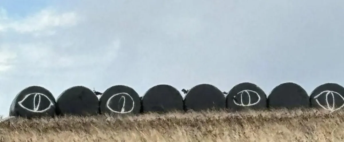 250 bales, haylage and silage, 45 euro, kinsale