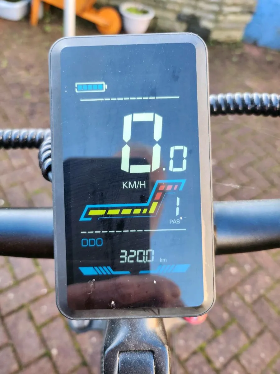 Electric Bike - Image 2