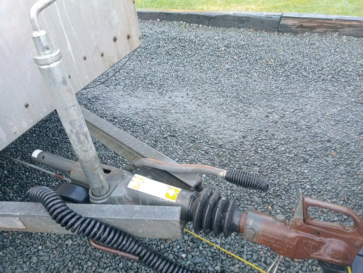 CATTLE TRAILER - Image 2