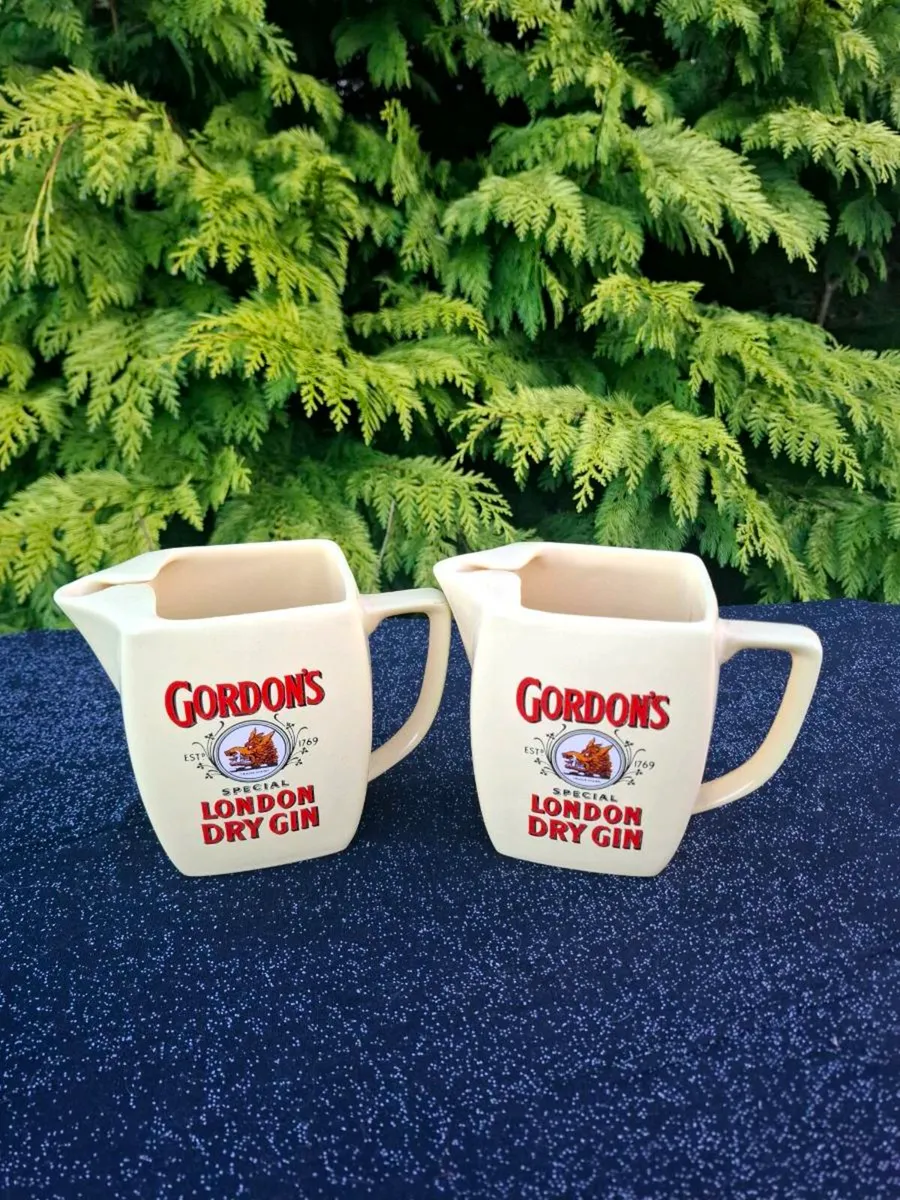 Duo gordon jugs pitchers
