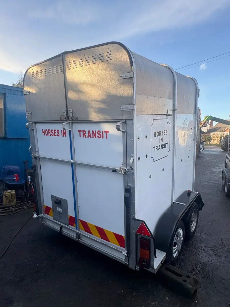 Ifor Williams 505 horse box - Image 3
