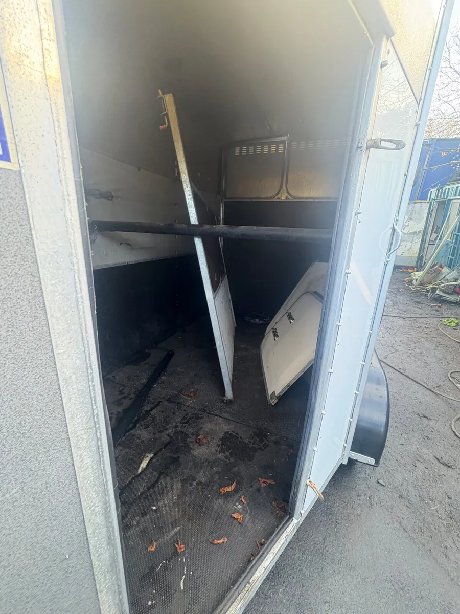 Ifor Williams 505 horse box - Image 4