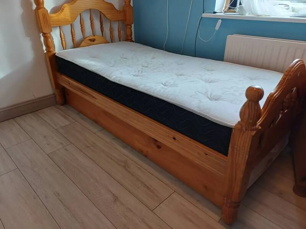 Pine Single & Trundle Beds - Image 1