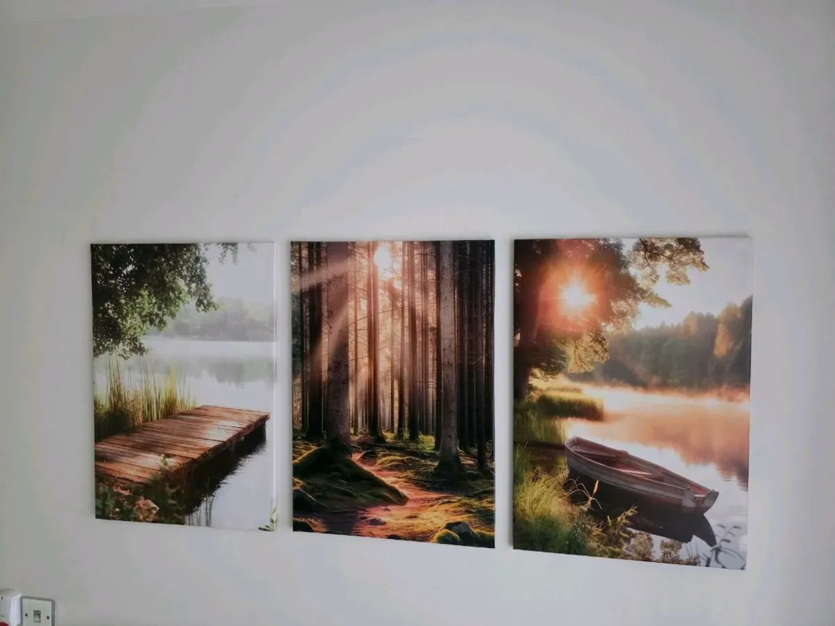 3 canvas 46x66cm each - Image 1