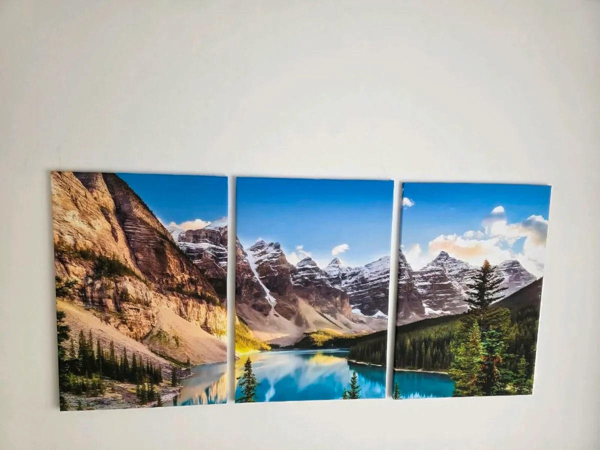 3 canvas 46x66cm each - Image 2