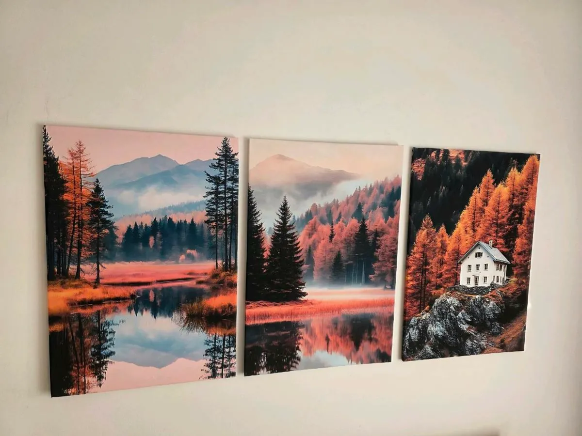 3 canvas 46x66cm each - Image 3