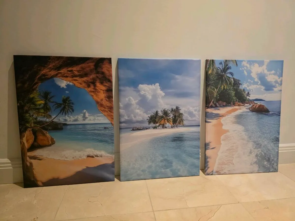 3 canvas 46x66cm each - Image 4