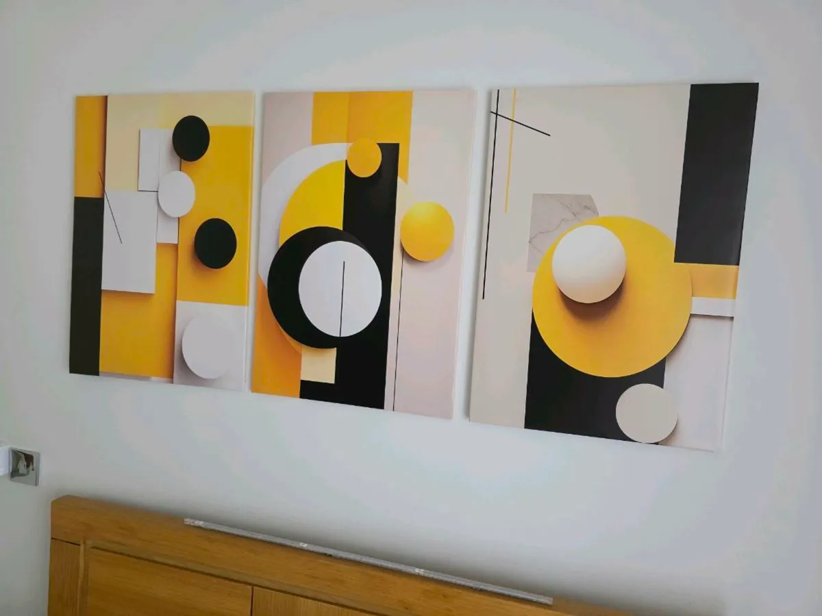 3 canvas 46x66cm each - Image 3