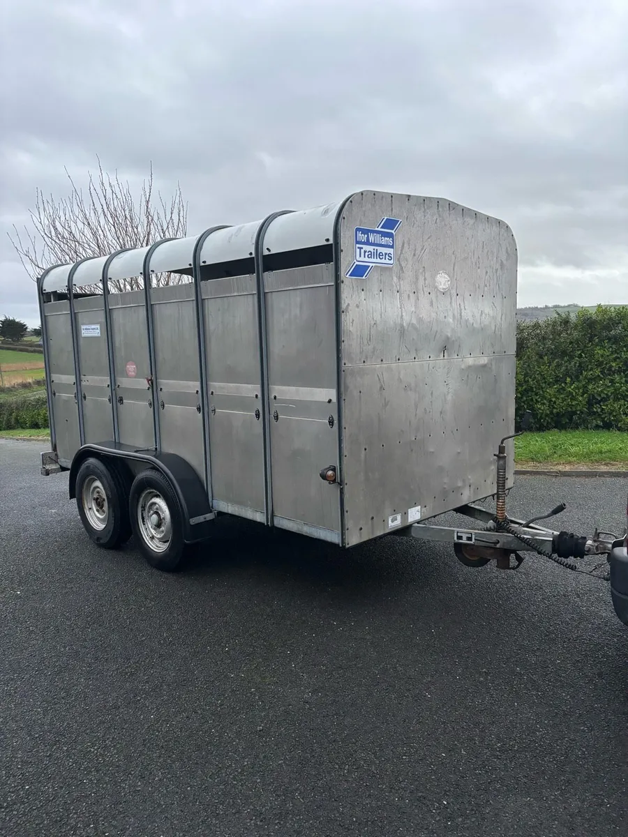 Ifor williams 12x6 cattle box - Image 1