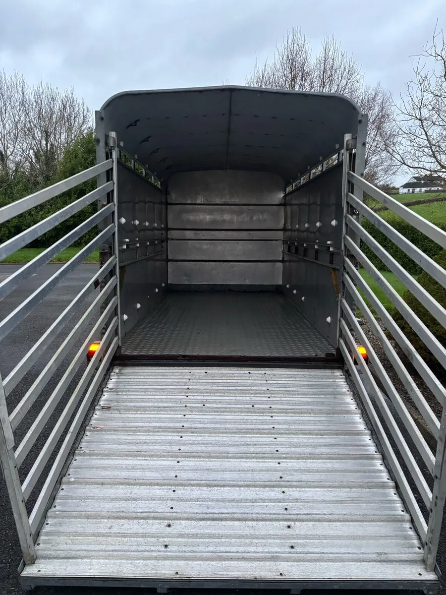 Ifor williams 12x6 cattle box - Image 3