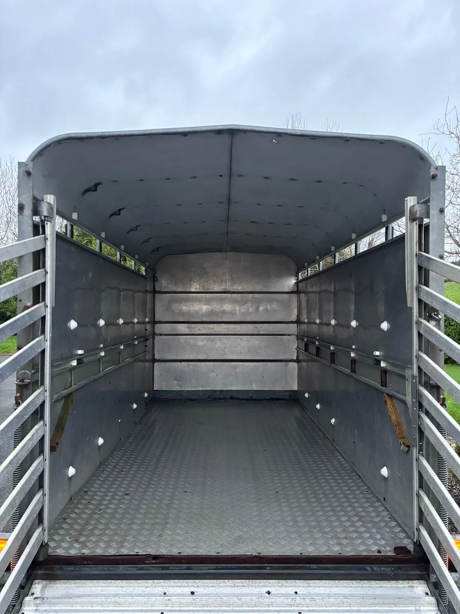 Ifor williams 12x6 cattle box - Image 4