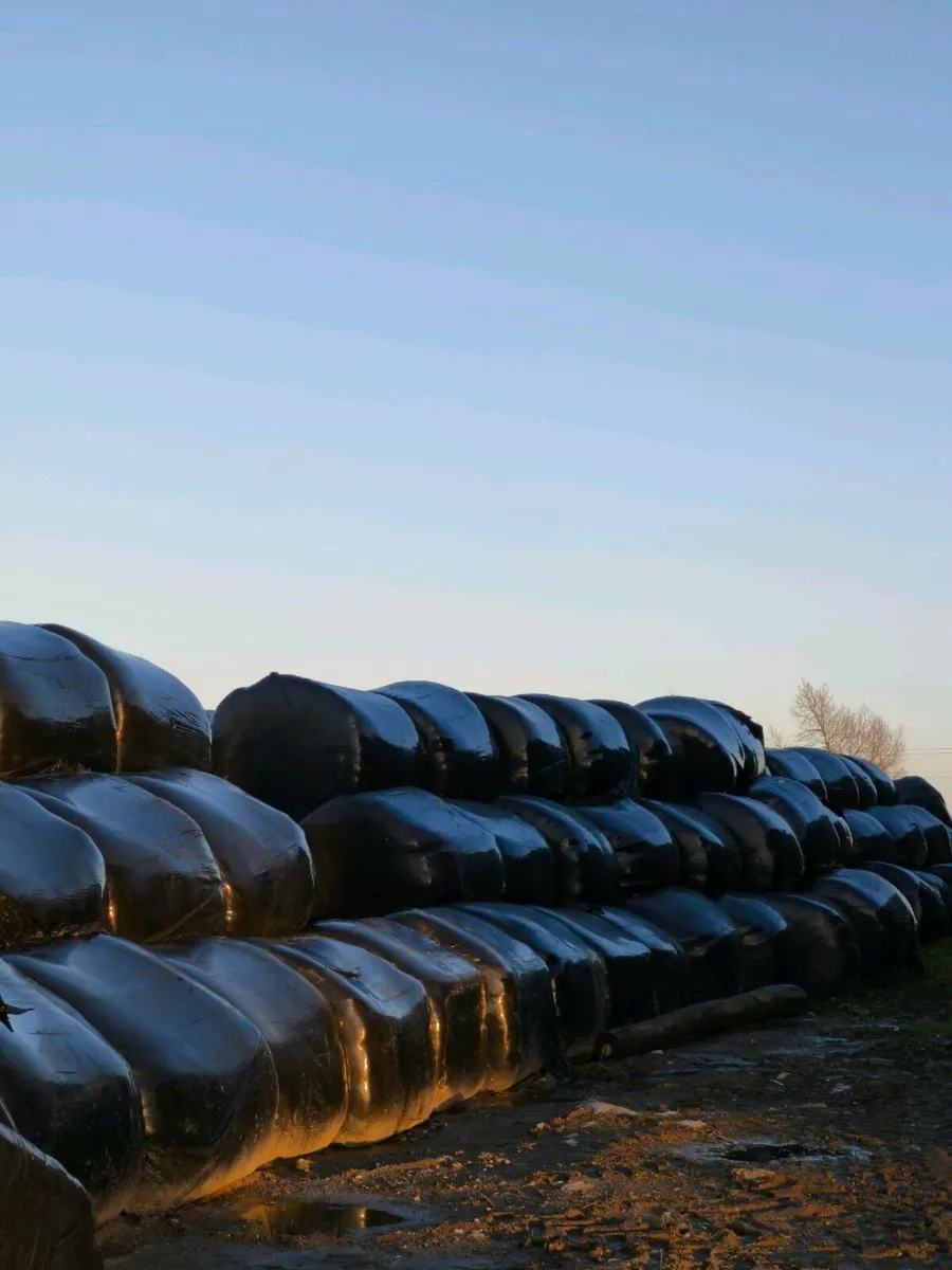 Bale silage - Image 1