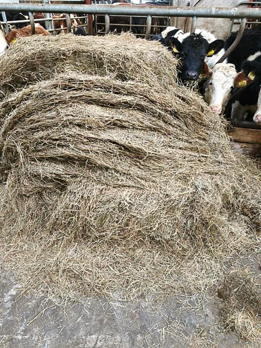 Bale silage - Image 2