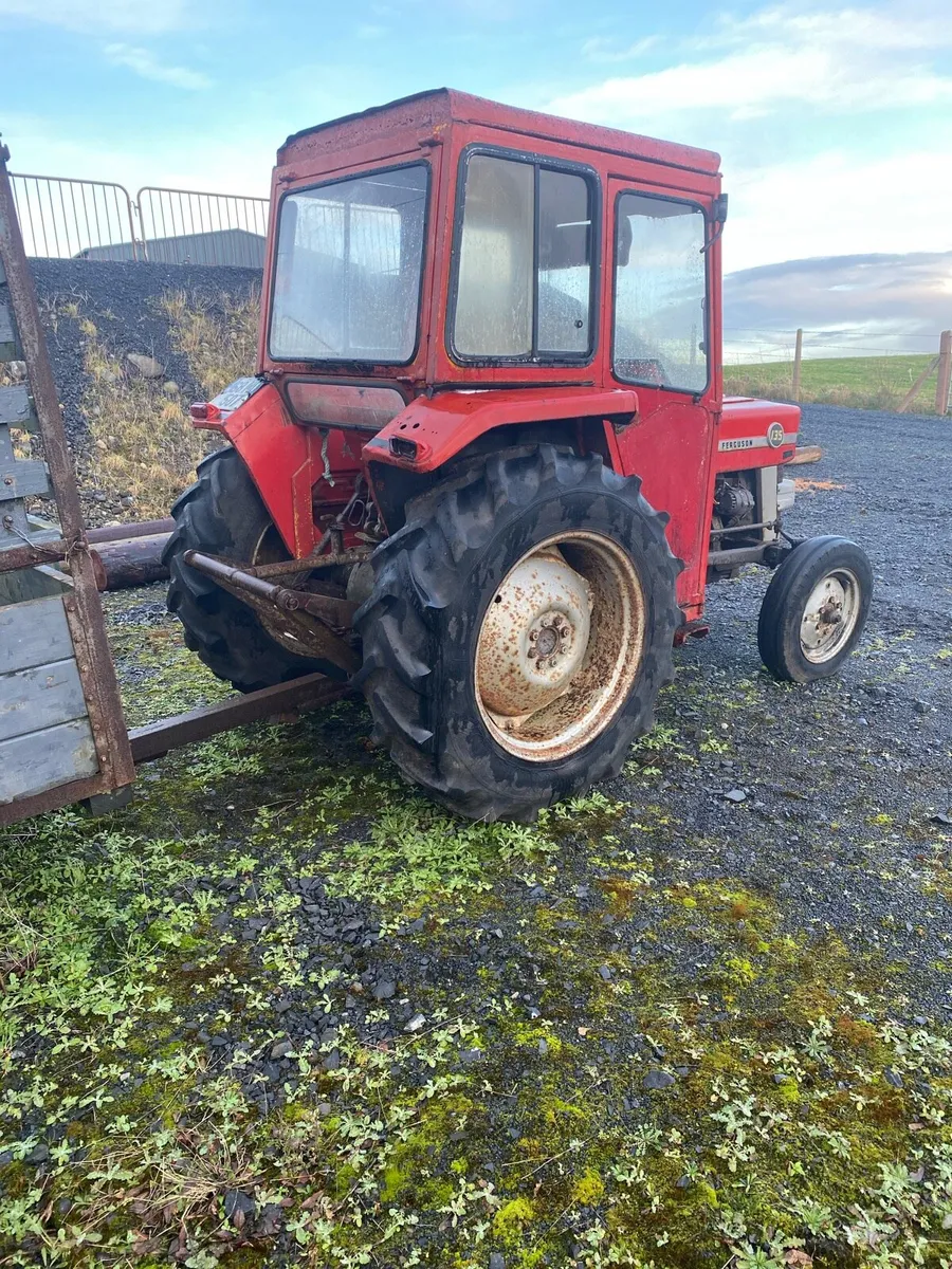 Massey Ferguson 135 - Image 2