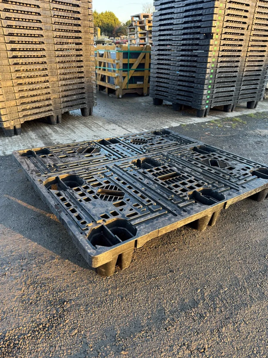 Quantity of plastic nestable pallets - Image 3