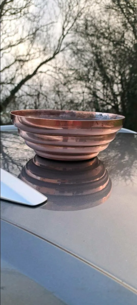 Old brass  plant por - Image 3