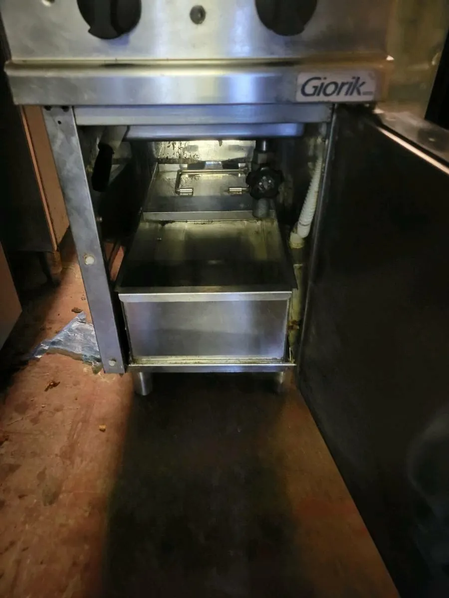 Fryer Electric Commercial Fryer GIORIK - Image 4