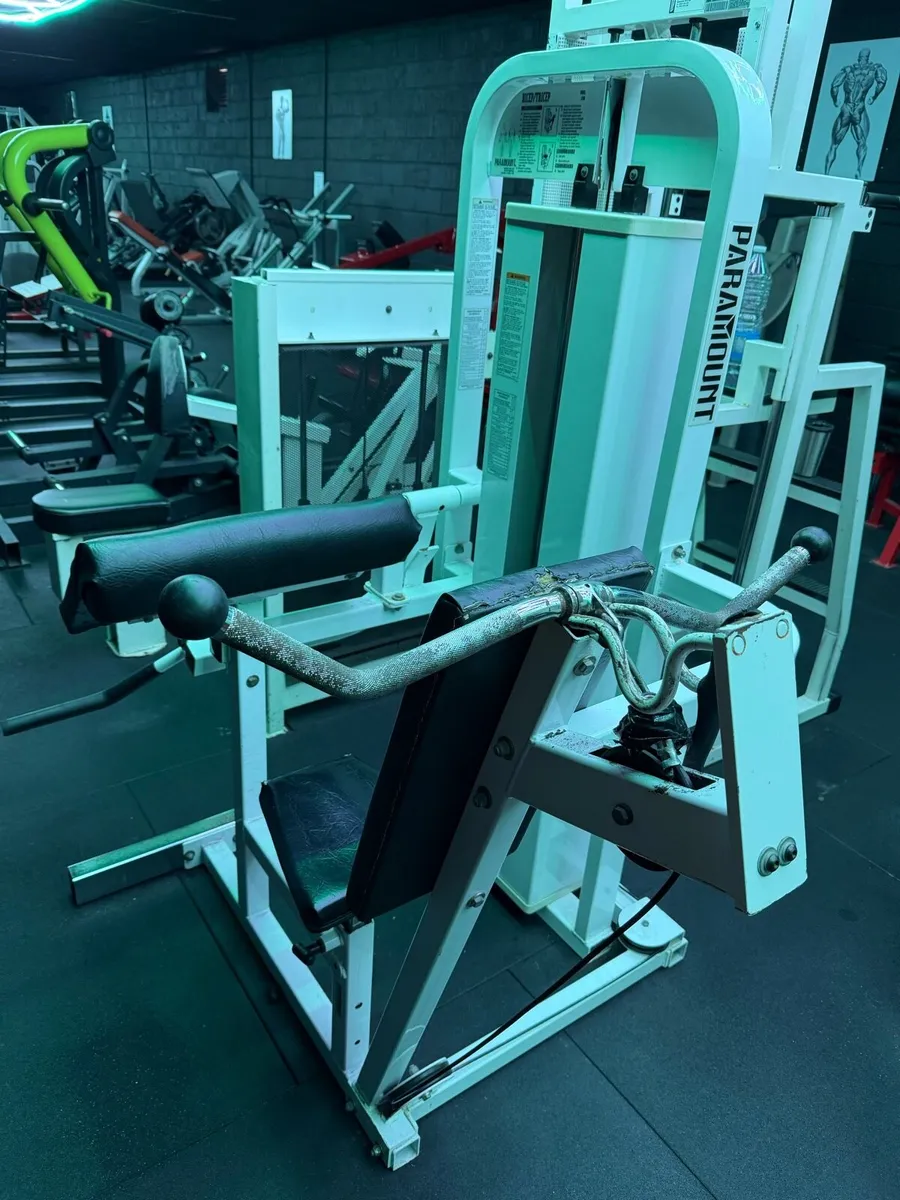 Paramount Bicep/Tricep - Image 2