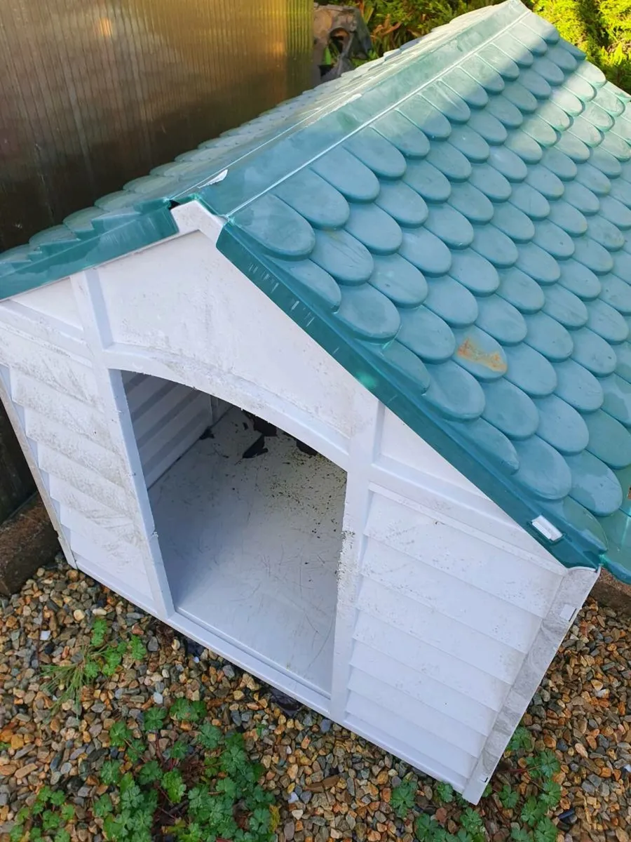 Small fog kennel - Image 1