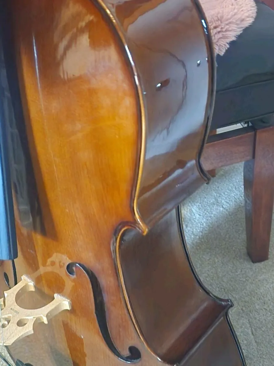 Cello  - 1/2 size - Image 4
