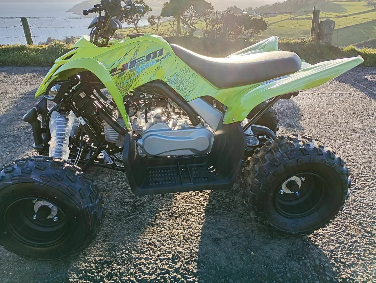 Yamaha YFM110R - Image 4