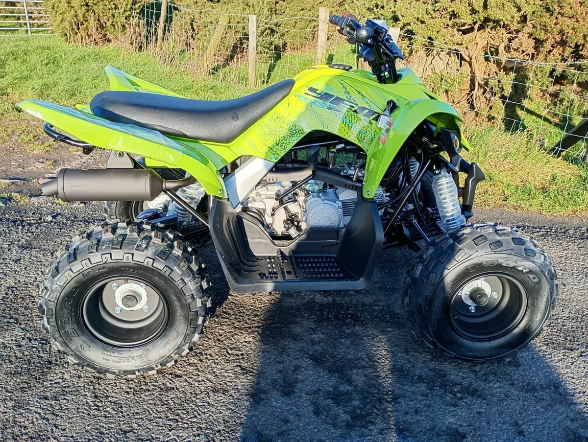 Yamaha YFM110R - Image 3