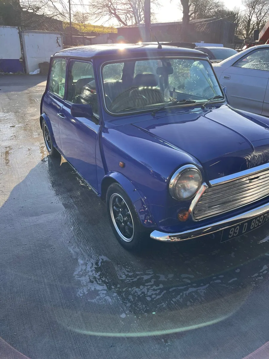 1999 Mini Cooper Paul Smith – Rare Limited Edition - Image 2