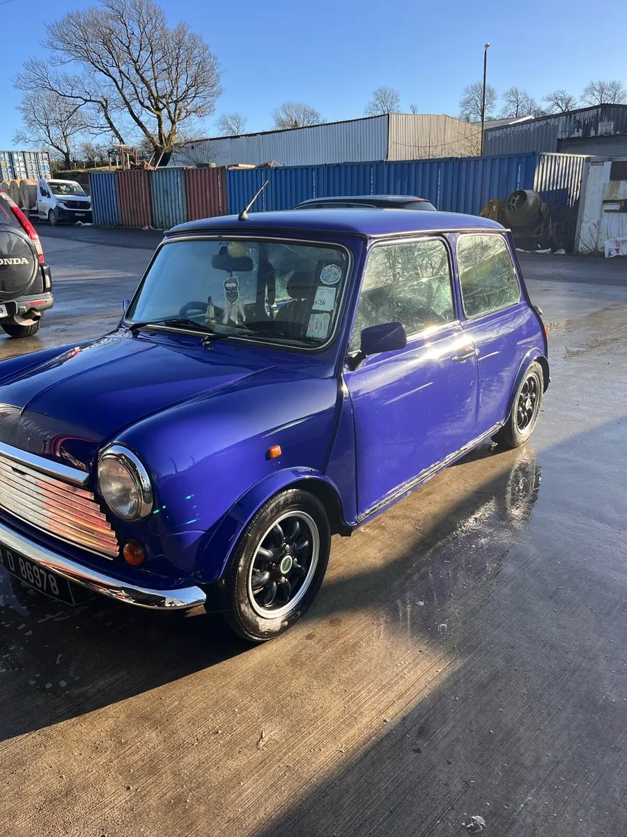 1999 Mini Cooper Paul Smith – Rare Limited Edition - Image 3