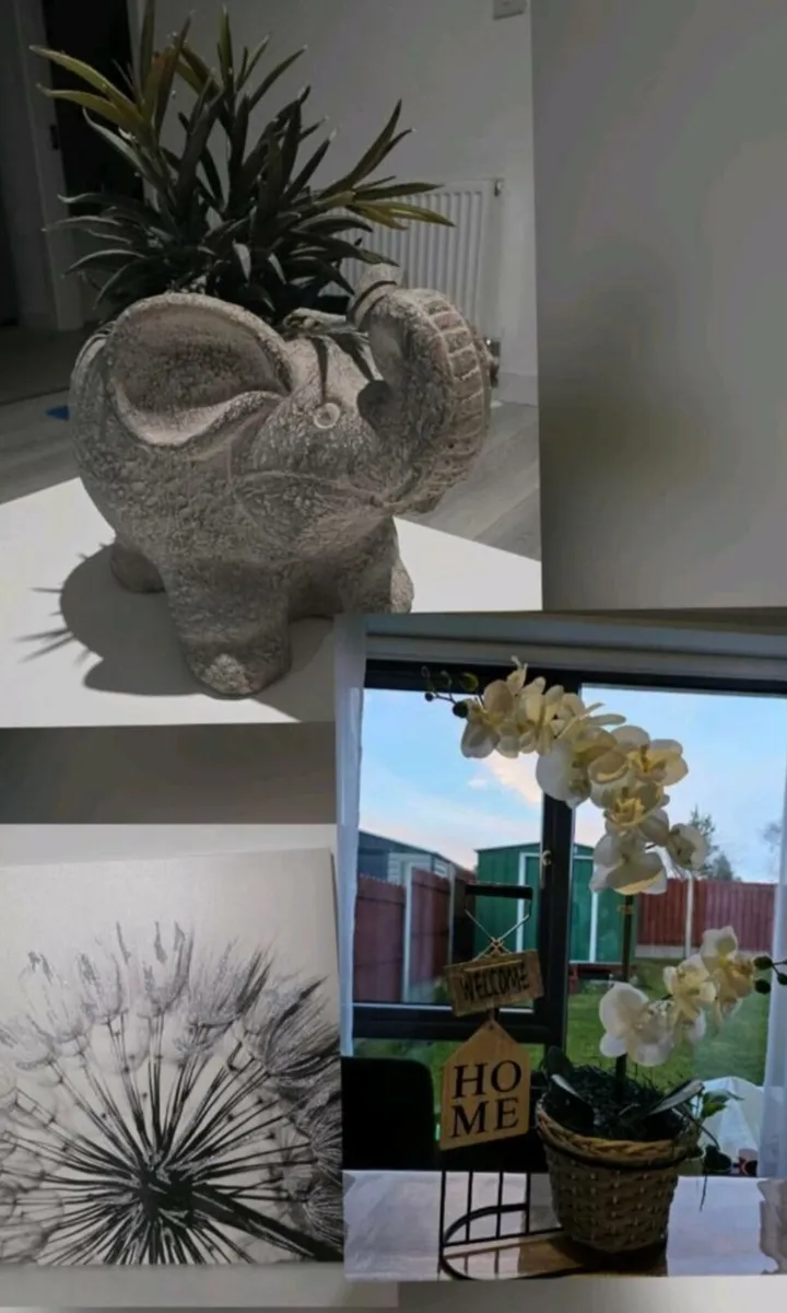 Home stuff - Image 4