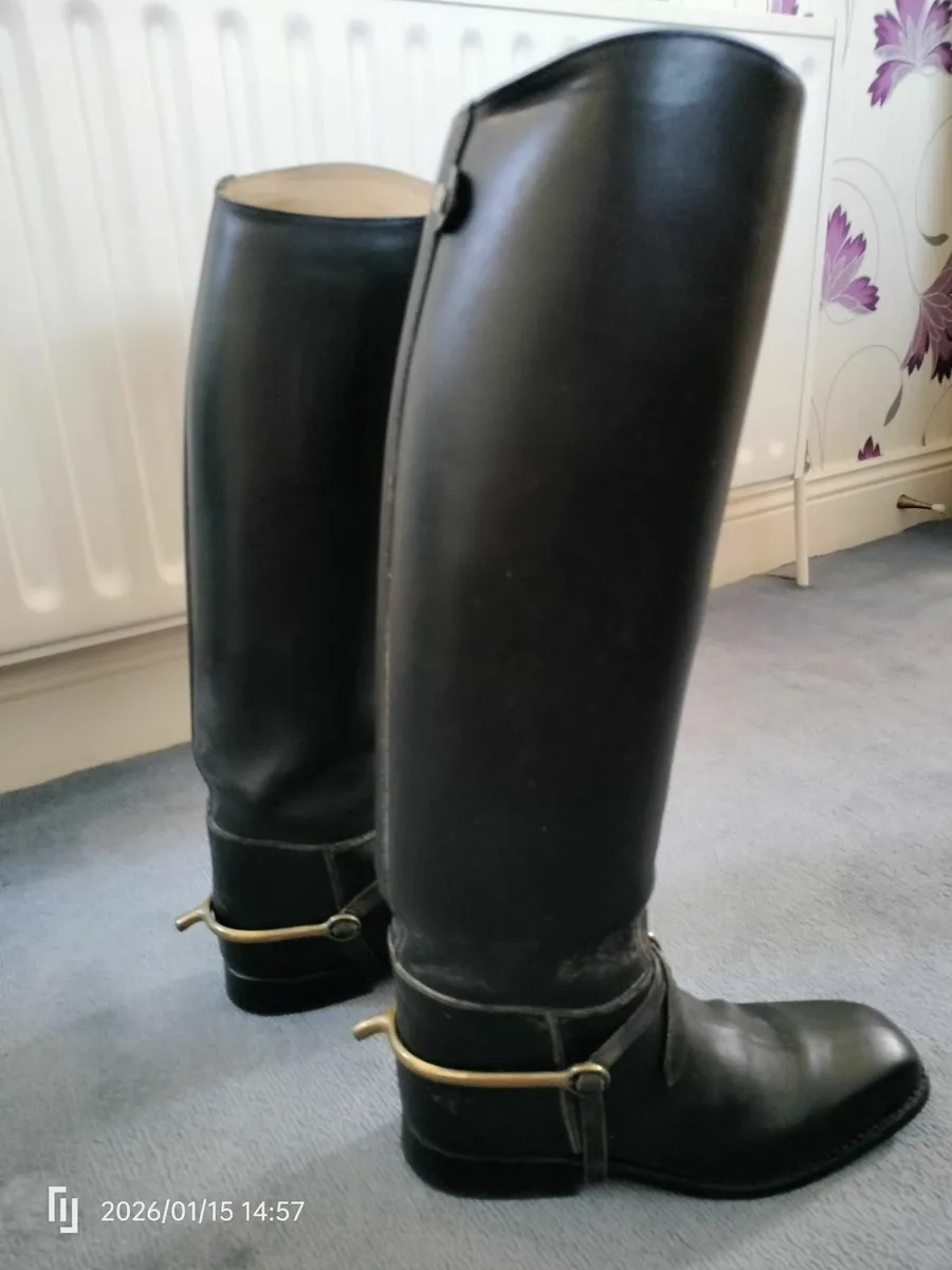 Horse riding equipment - Image 2