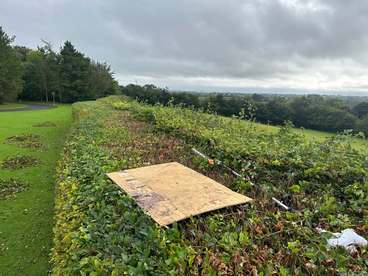 Garden maintenance - Image 1