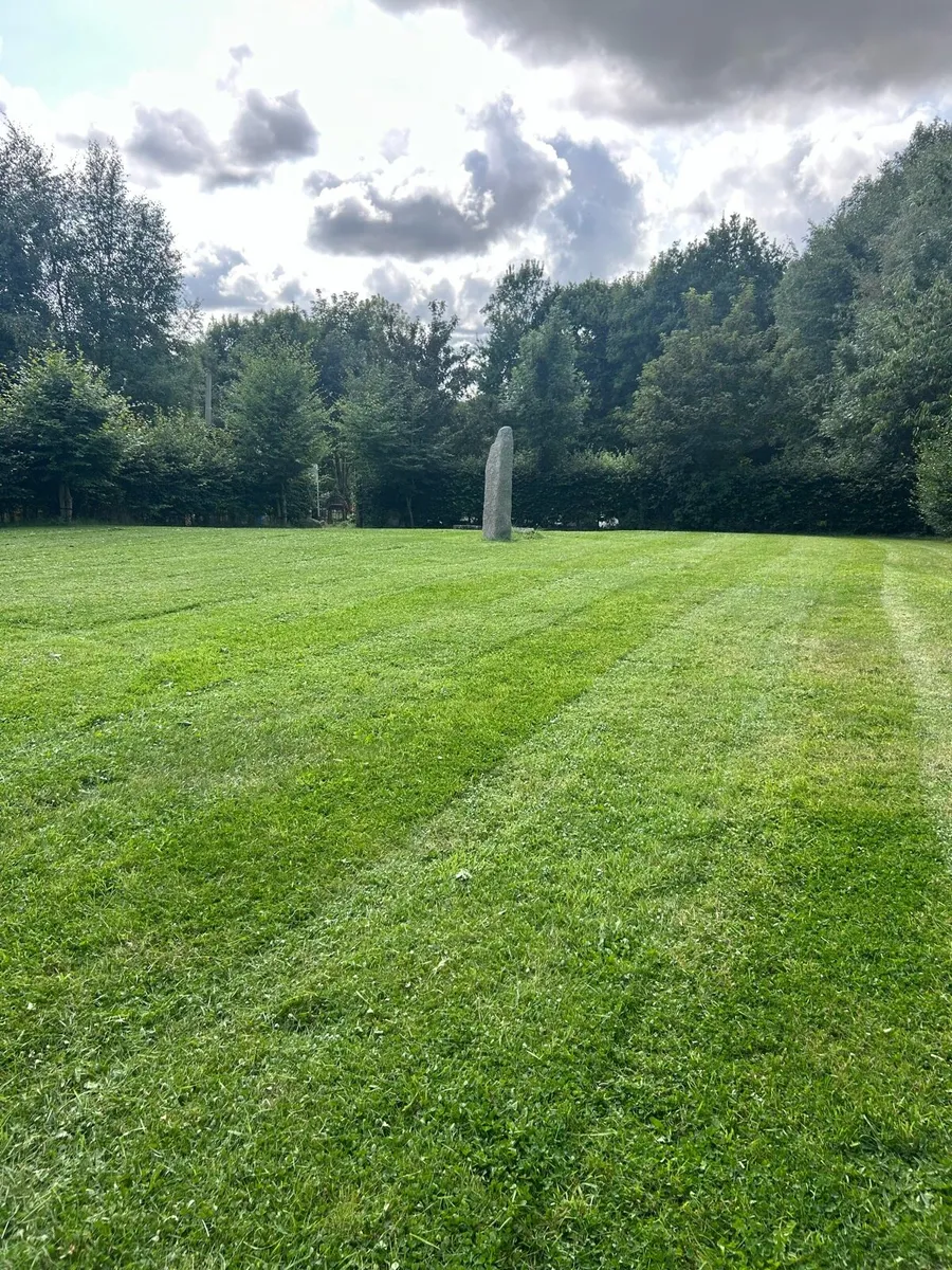 Garden maintenance - Image 2