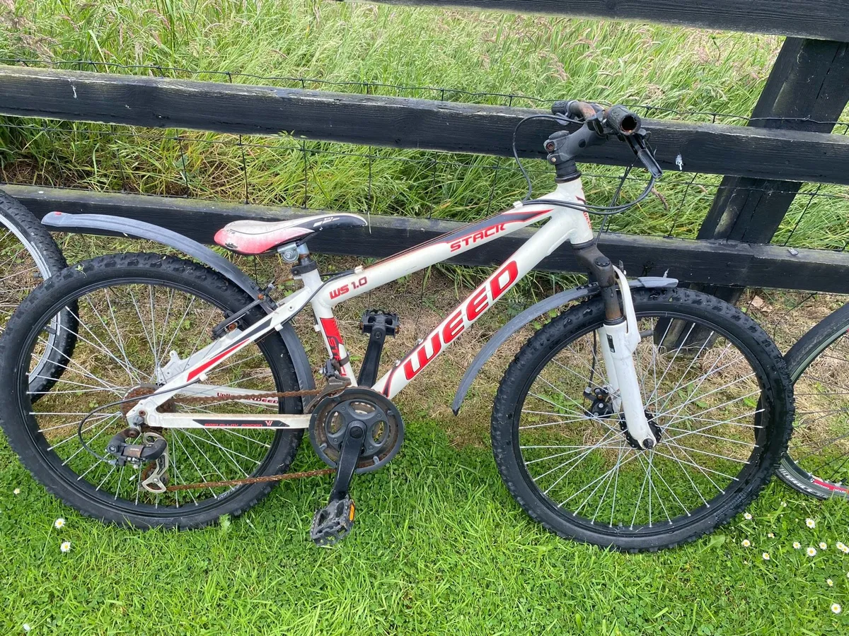 Boys mountain bike - Image 1