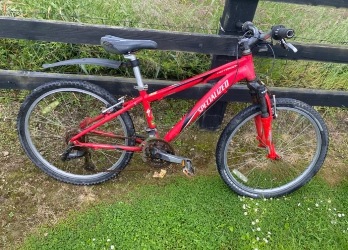Specialised boys bike (light weight) - Image 1