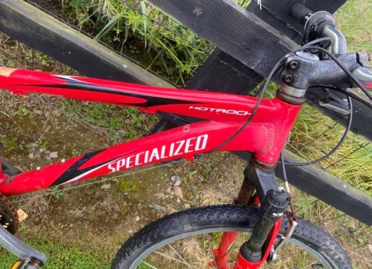 Specialised boys bike (light weight) - Image 2