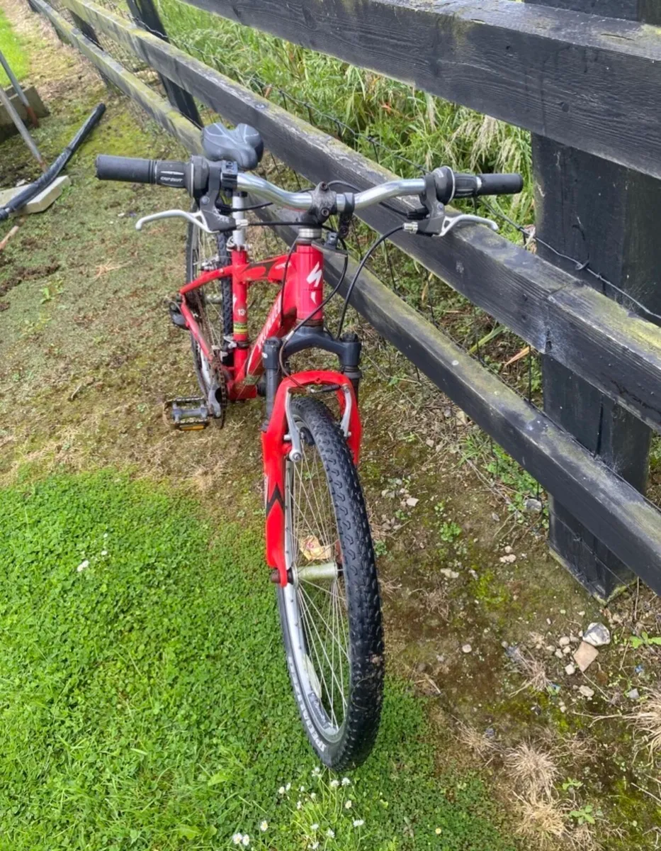 Specialised boys bike (light weight) - Image 3