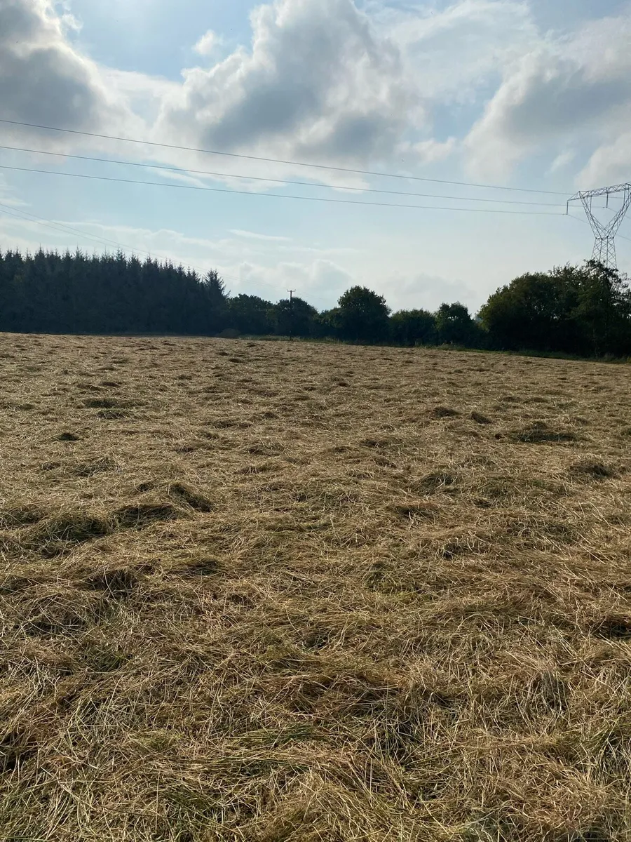 Silage Bales - Image 2
