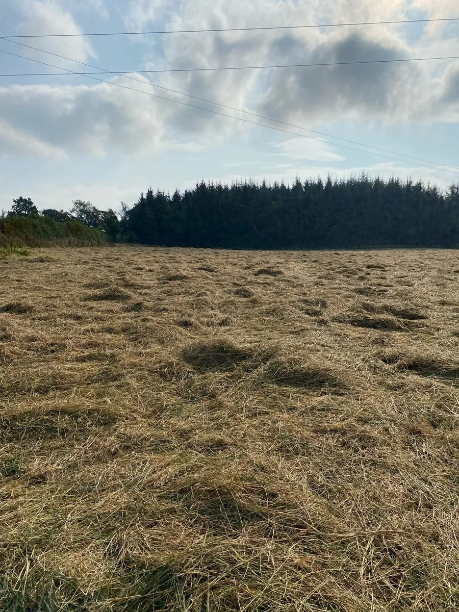 Silage Bales - Image 3
