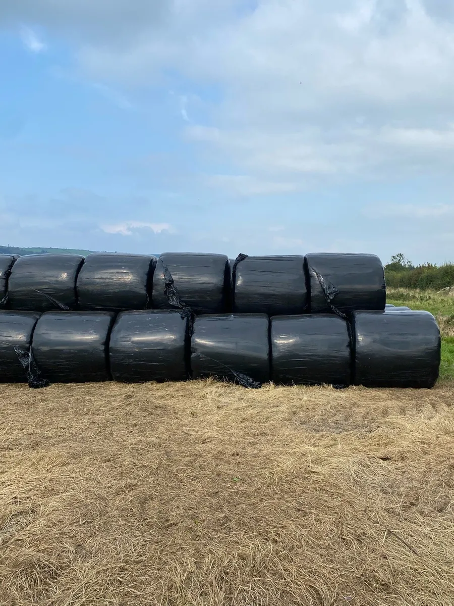 Silage Bales - Image 1
