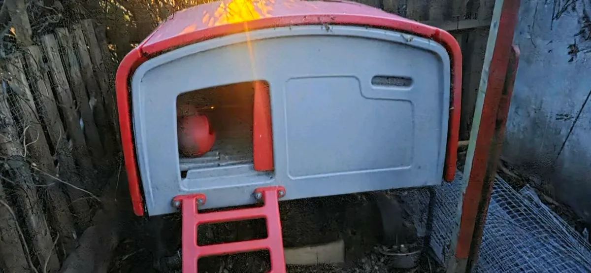 Eglu Chickens Coop - Image 2