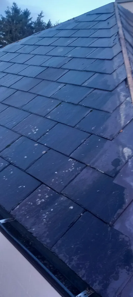 250  Blue bangor slates & ridge tiles - Image 2