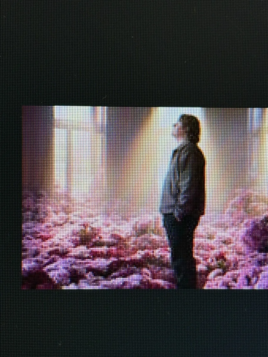 Lewis Capaldi Marlay Park