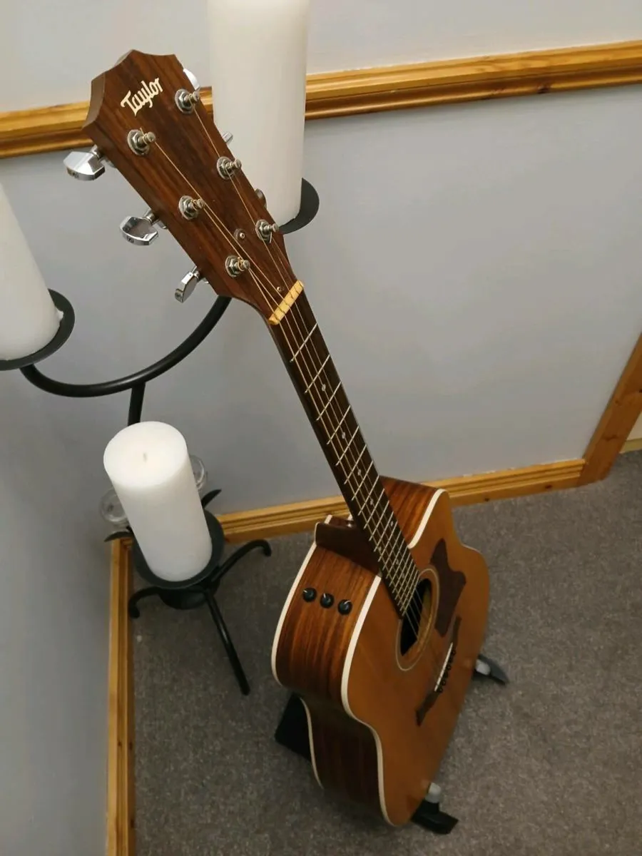 USA Taylor 210ce - Image 3