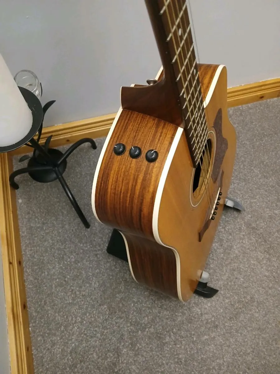 USA Taylor 210ce - Image 4