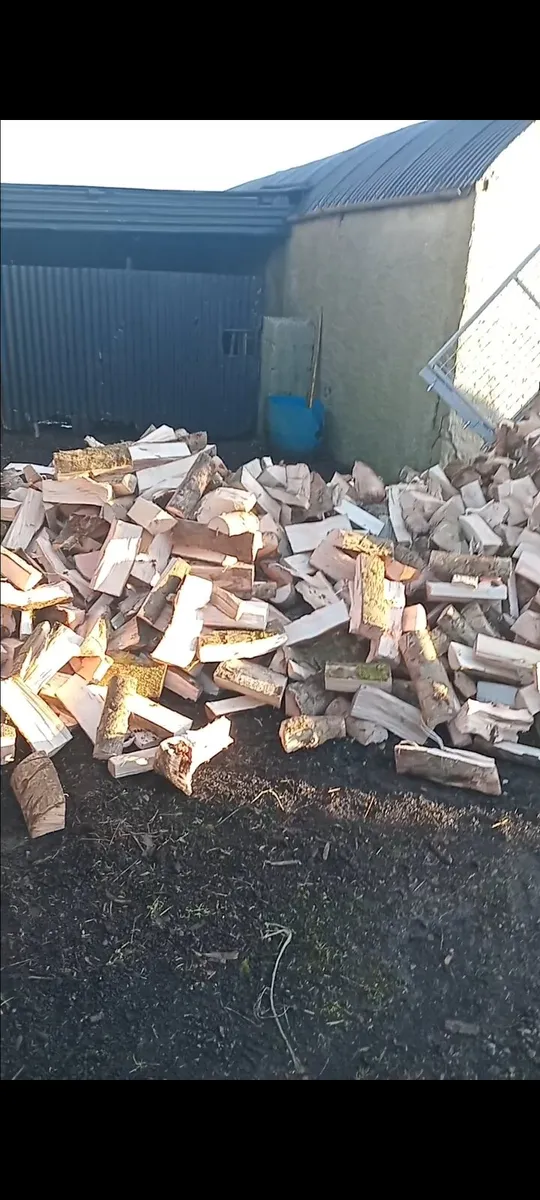Fire wood - Image 4