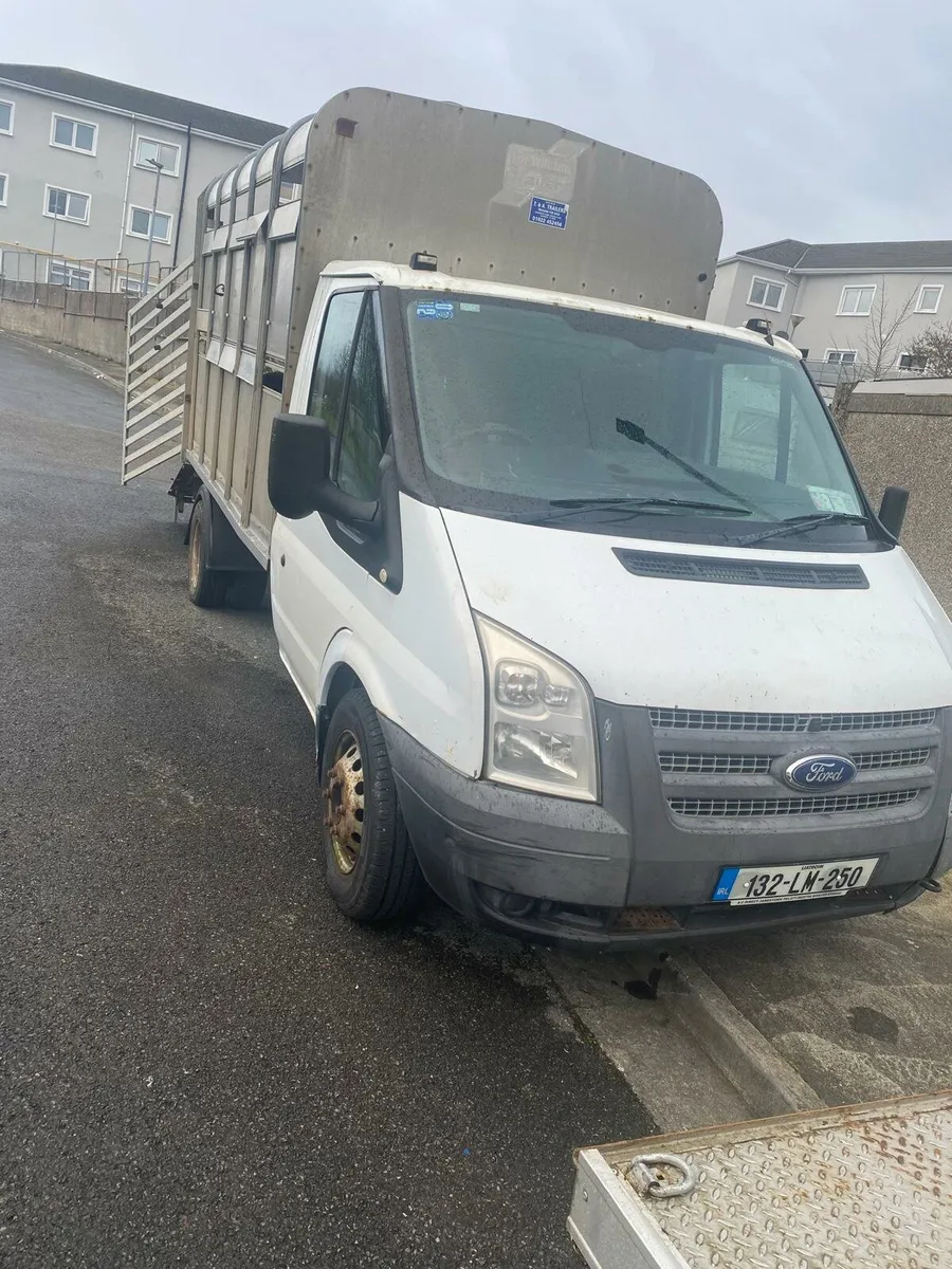 Ford transit cattle transport van - Image 3