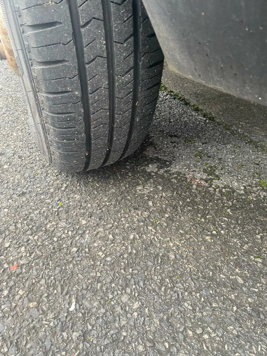 Ford transit cattle transport van - Image 4