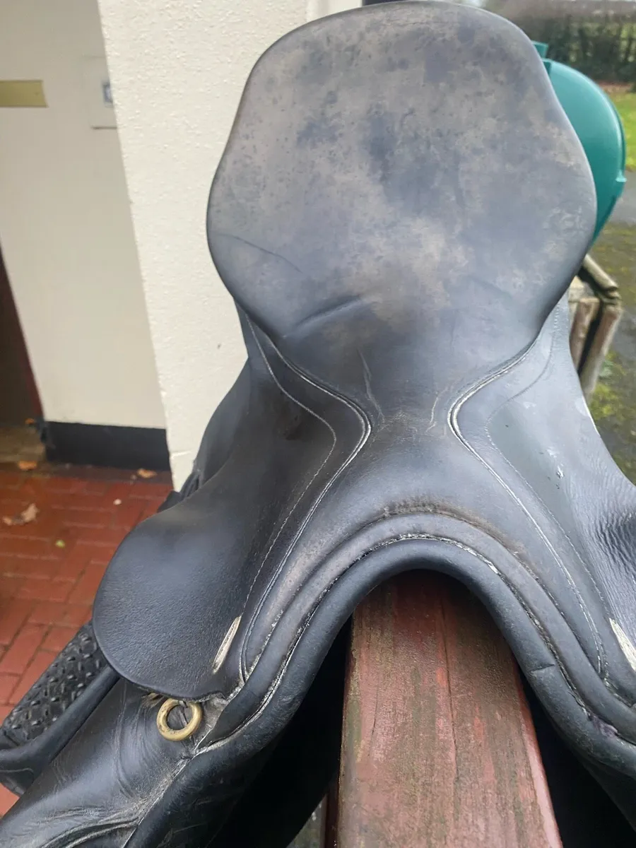 Saddle - Image 2
