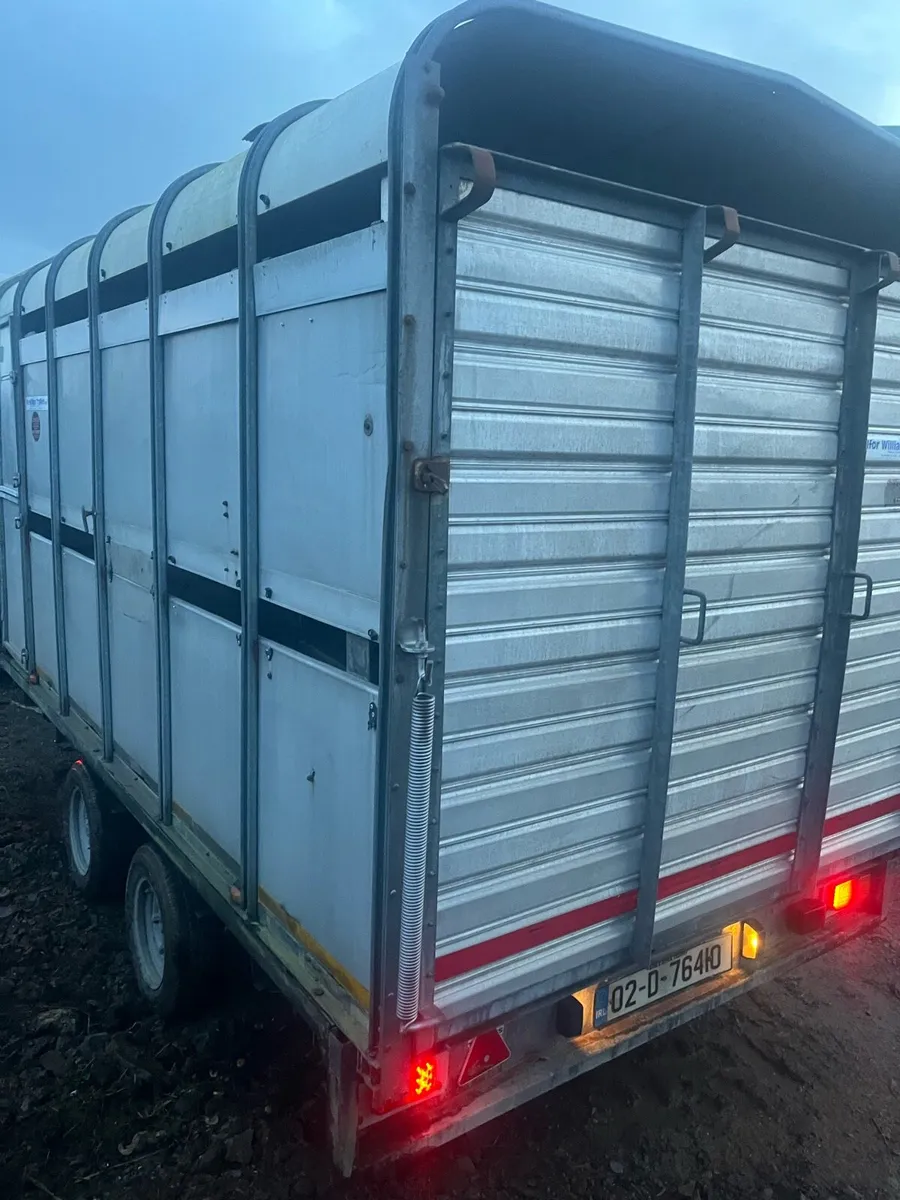 Ifor Williams 12x6.6 - Image 4