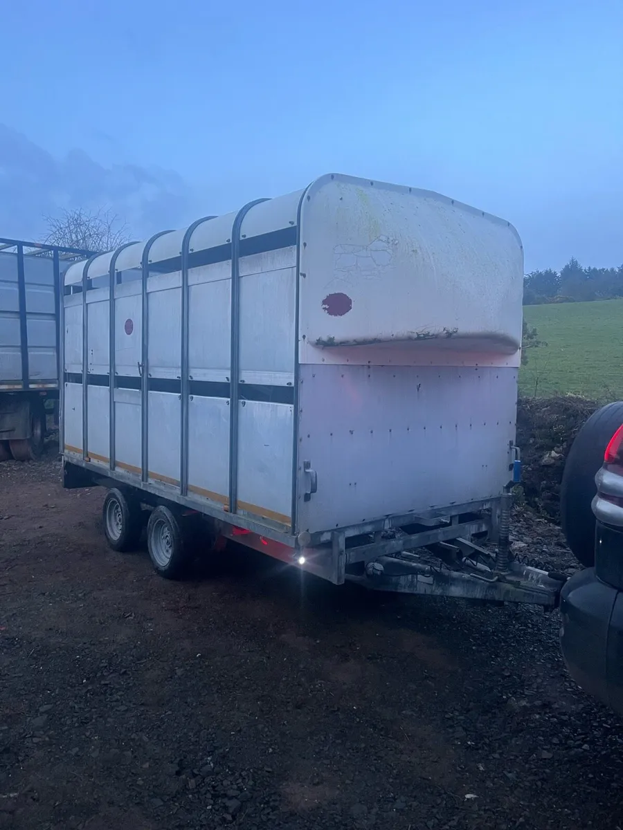 Ifor Williams 12x6.6 - Image 2